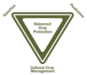 The Crop Protection Australia® logo using a plant in a triangle is significant - the triangle represents the three key approaches to sustainable crop protection The Crop Protection Australia® logo using a plant in a triangle is significant - the triangle represents the three key approaches to sustainable crop protection